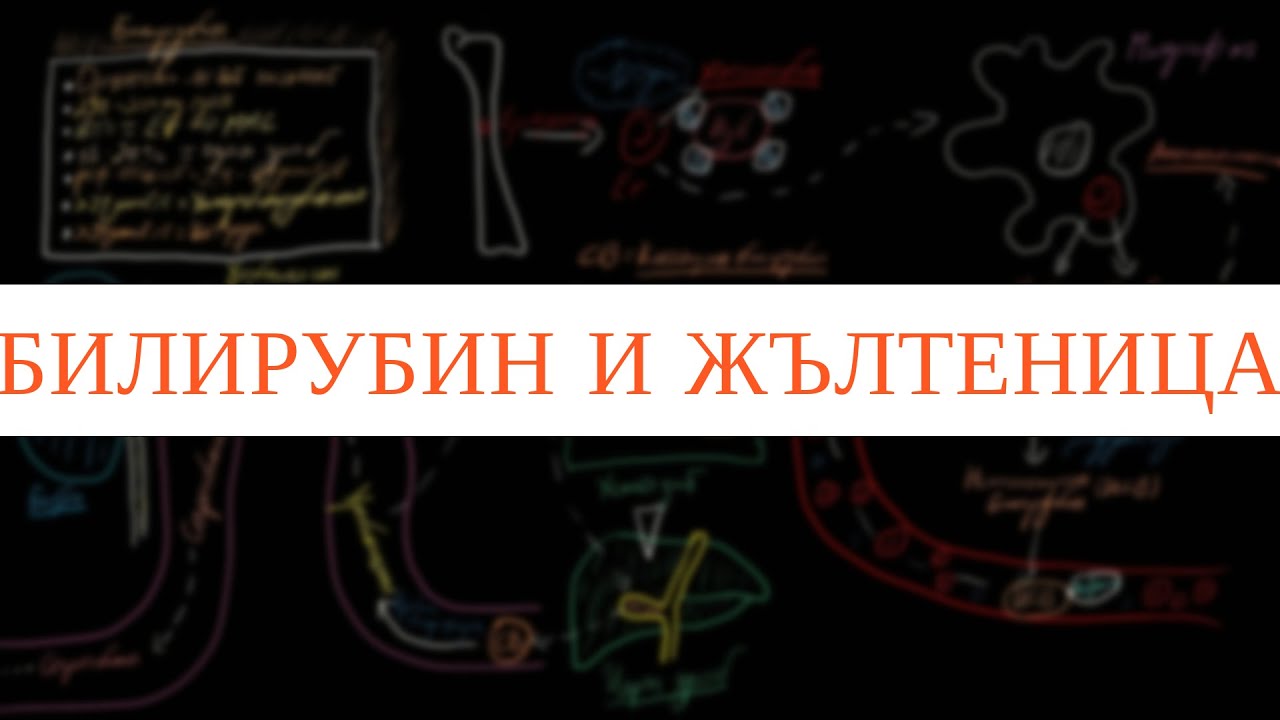 Метаболизъм на Билирубина и Жълтеница(Иктерус)