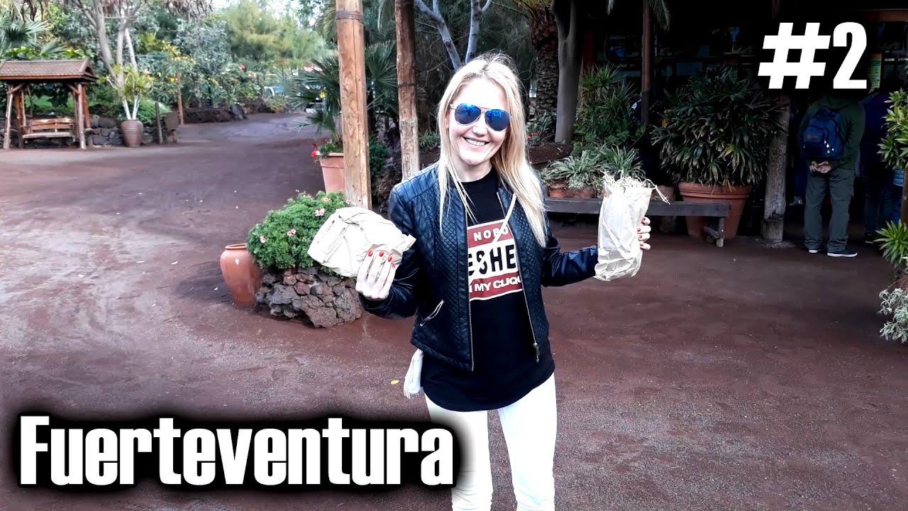 #2 HISZPANIA -  Fuerteventura, dzika plaża Playa de Cofete oraz Oasis Park Zoo