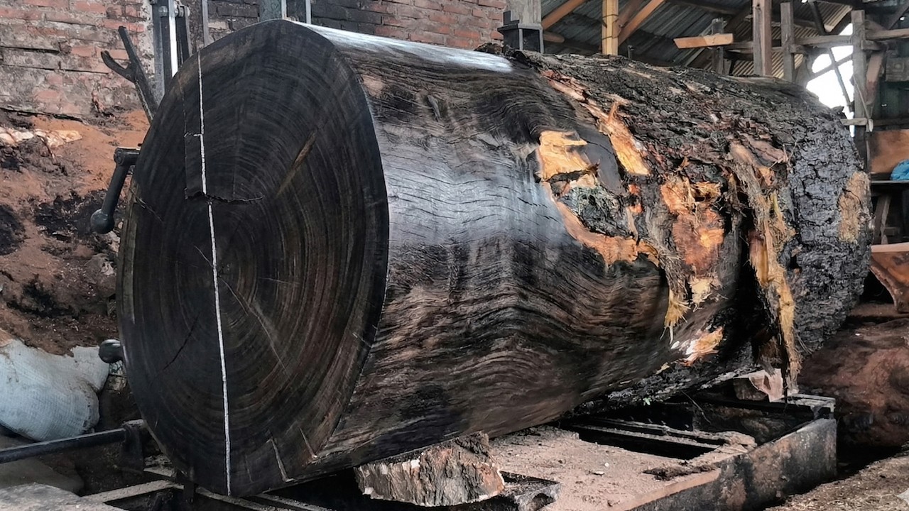 Powerful Sawmill Machinery Handling Giant Timber