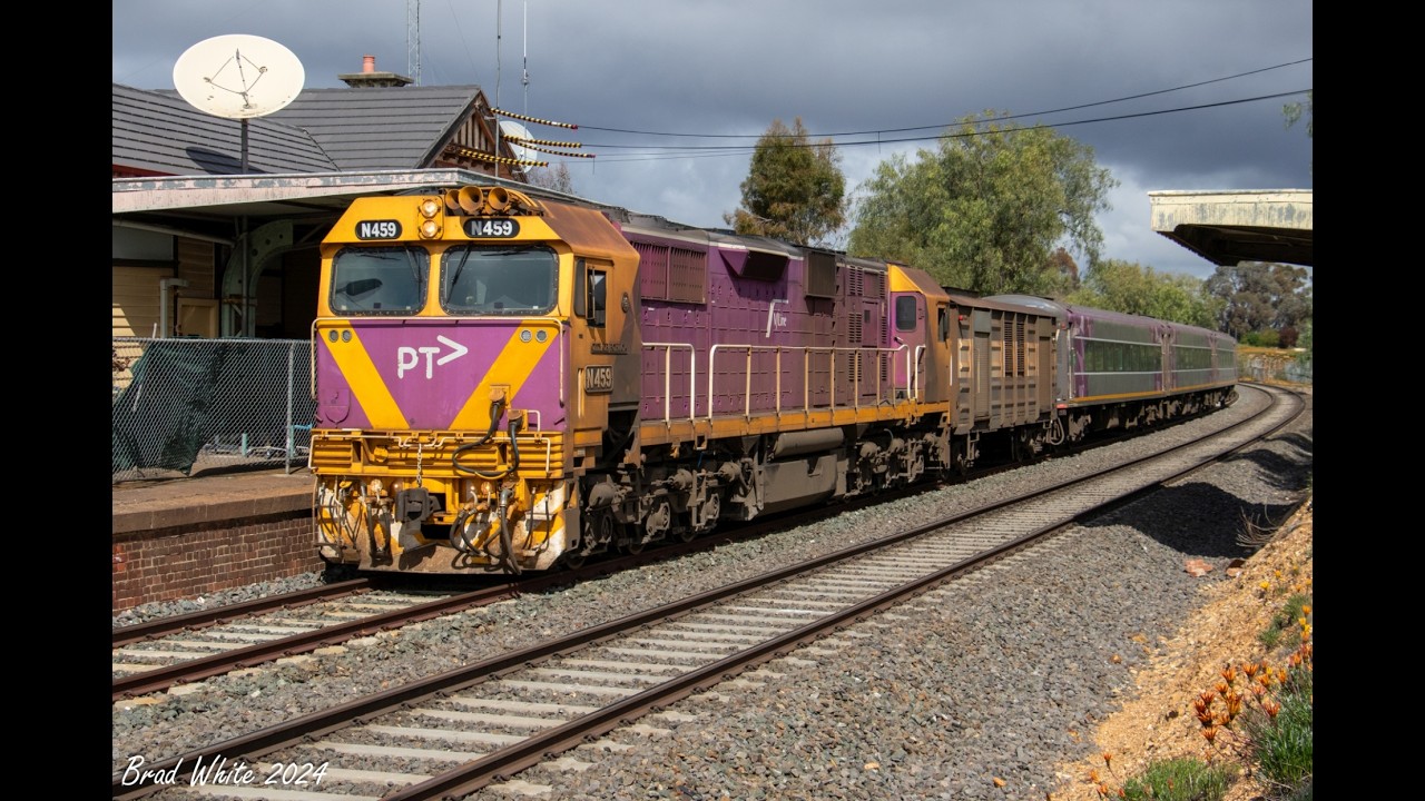 Bendigo Line V/Line Transfers, Steam & Grain inc. the last run of SSH21- 21st & 22nd Sep. 2024
