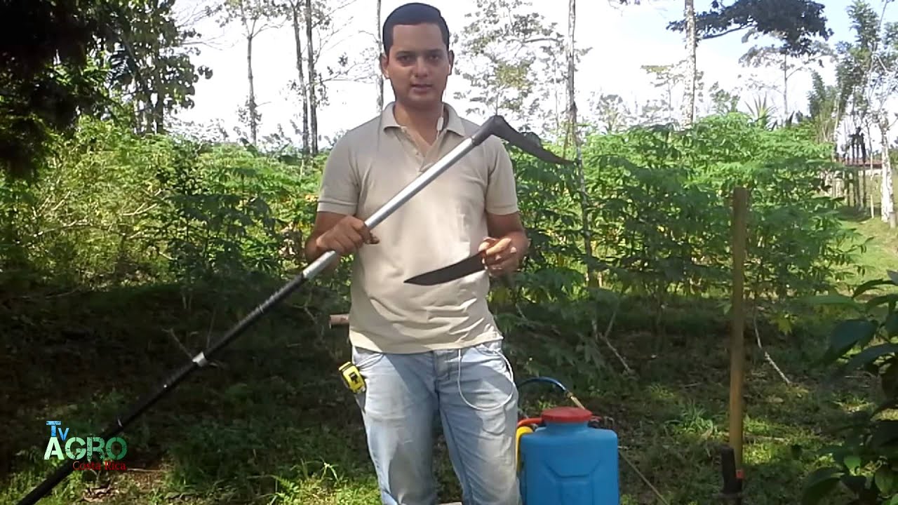 Herramientas agrícolas manuales- Ing. Hugo Montero