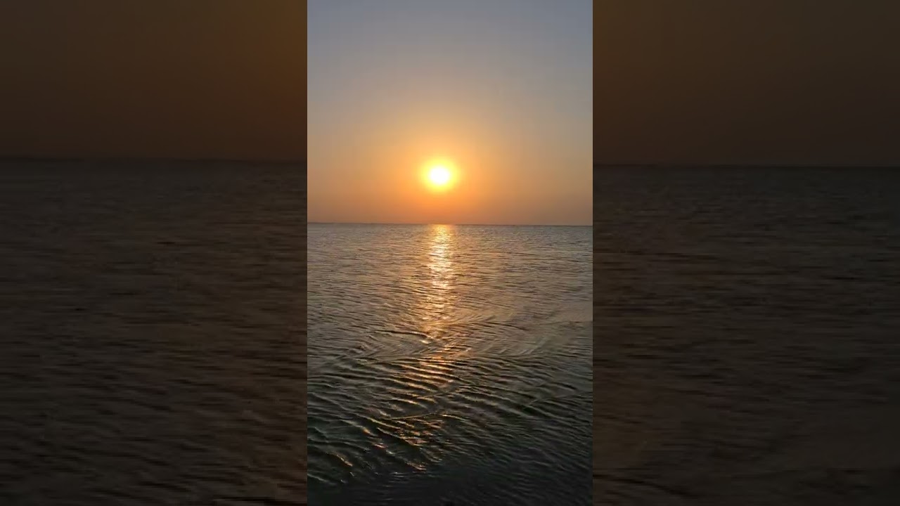 لمع البرق اليماني | بلبل الغرام | إلقاء: أسامة الواعظ