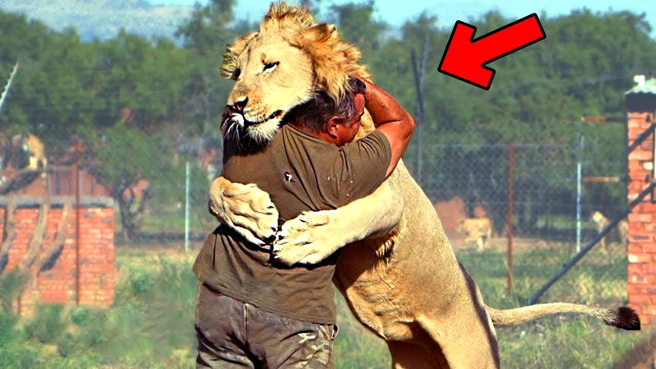 30 животных, которые спустя годы снова увидели своих хозяев! Самые эмоциональные моменты 2023 года