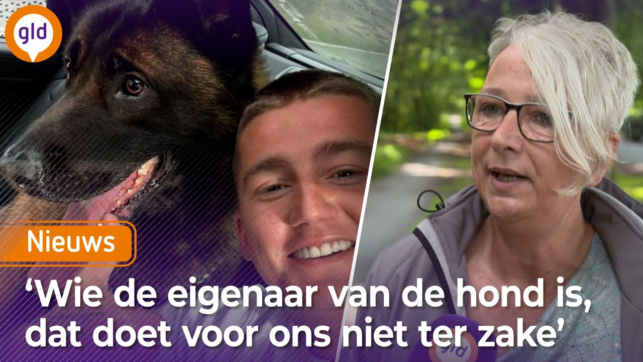 Zo werd de HOND Ciro van MART HOOGKAMER gevonden