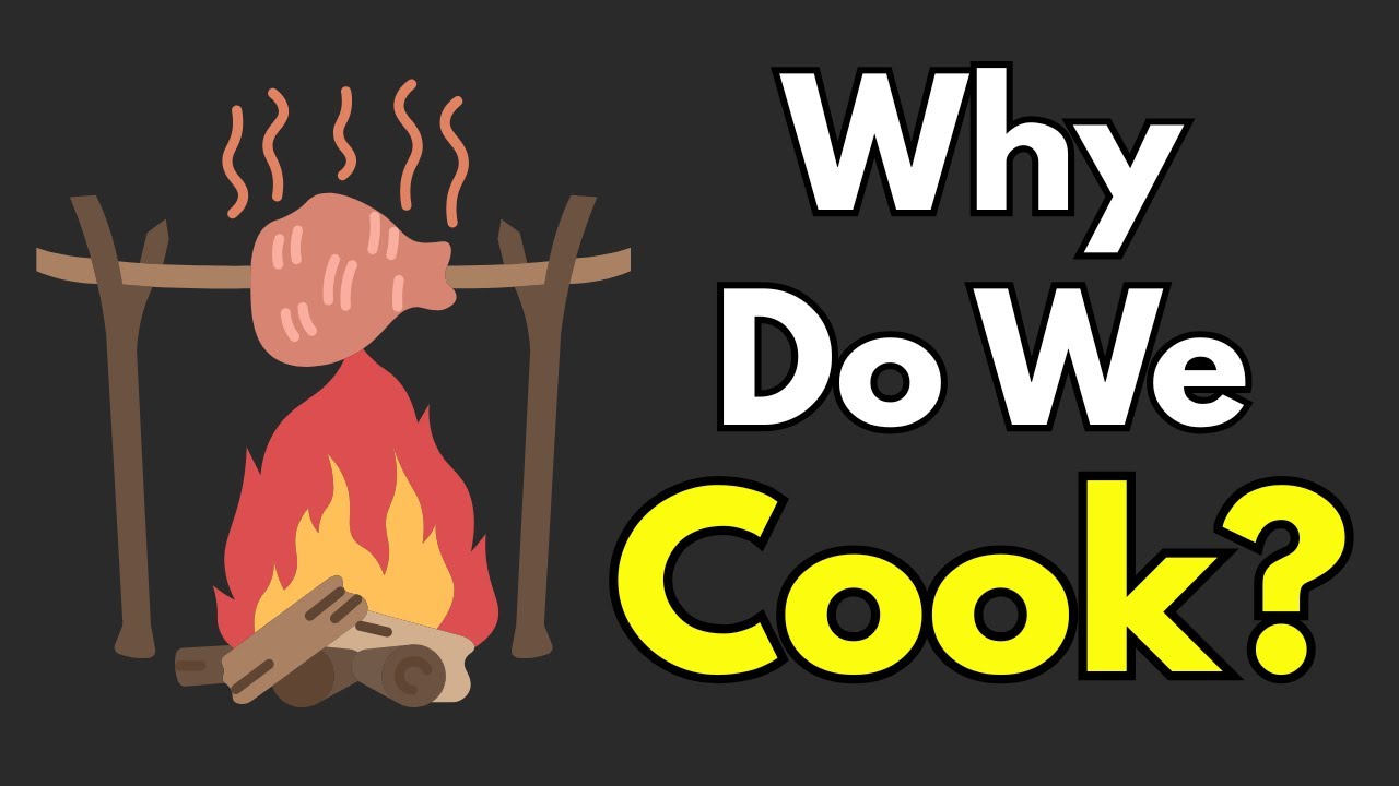 Why Do We Cook?