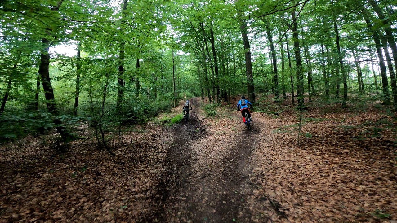 MTB Trails Sauerland / Arnsberg / Rumbeck in 4K #62