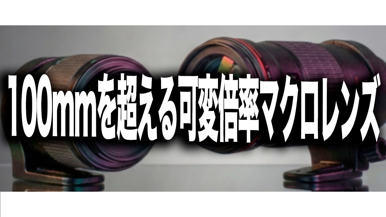 【Canon】キヤノンが100mmよりも長い焦点距離の高倍率マクロレンズを準備中？