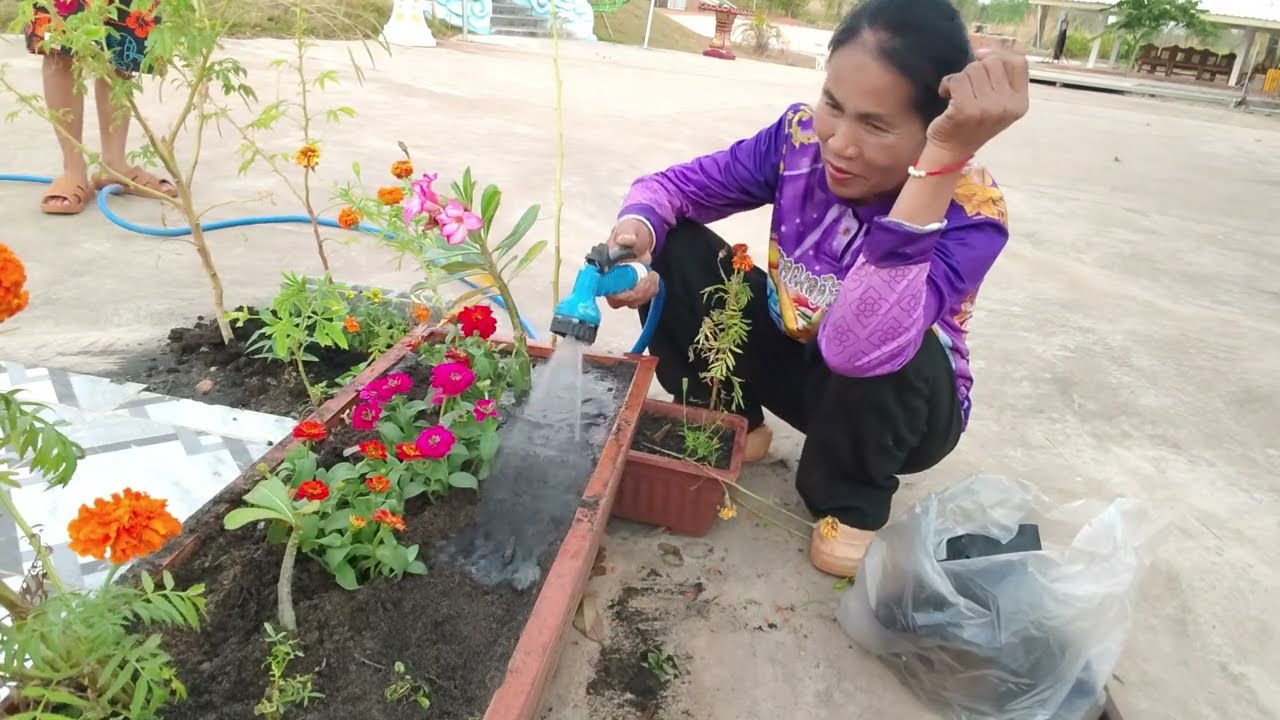 เห็นมันสวยอดใจไม่ไหวเลยซื้อมาปลูกไว้ทำพัน