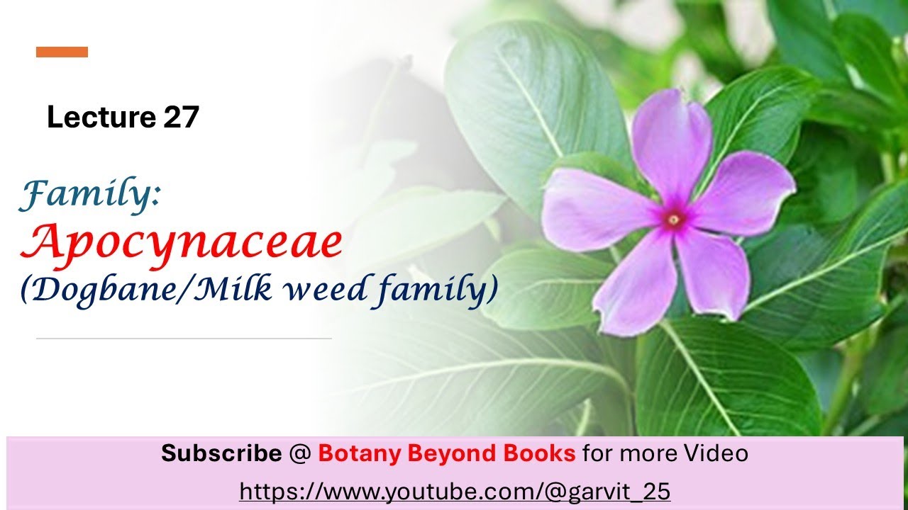 Family Apocynaceae