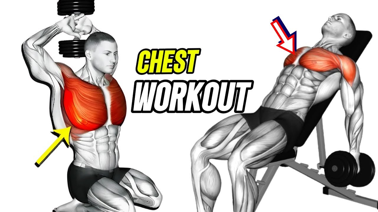 "9 Best Chest & Back Exercises for Faster Growth | Fit Motion"