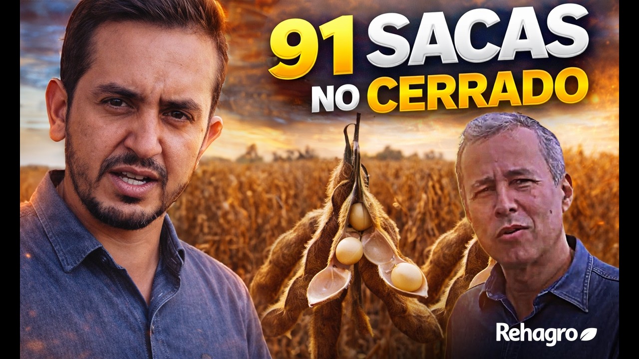 91 SACAS DE SOJA NO CERRADO MINEIRO: O QUE HÁ POR TRÁS DESSA PRODUTIVIDADE?