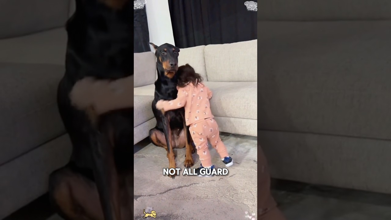 Top 5 Best Guard Dog Breeds for Families &mdash; Loyal & Protective! #shorts #animals #dog