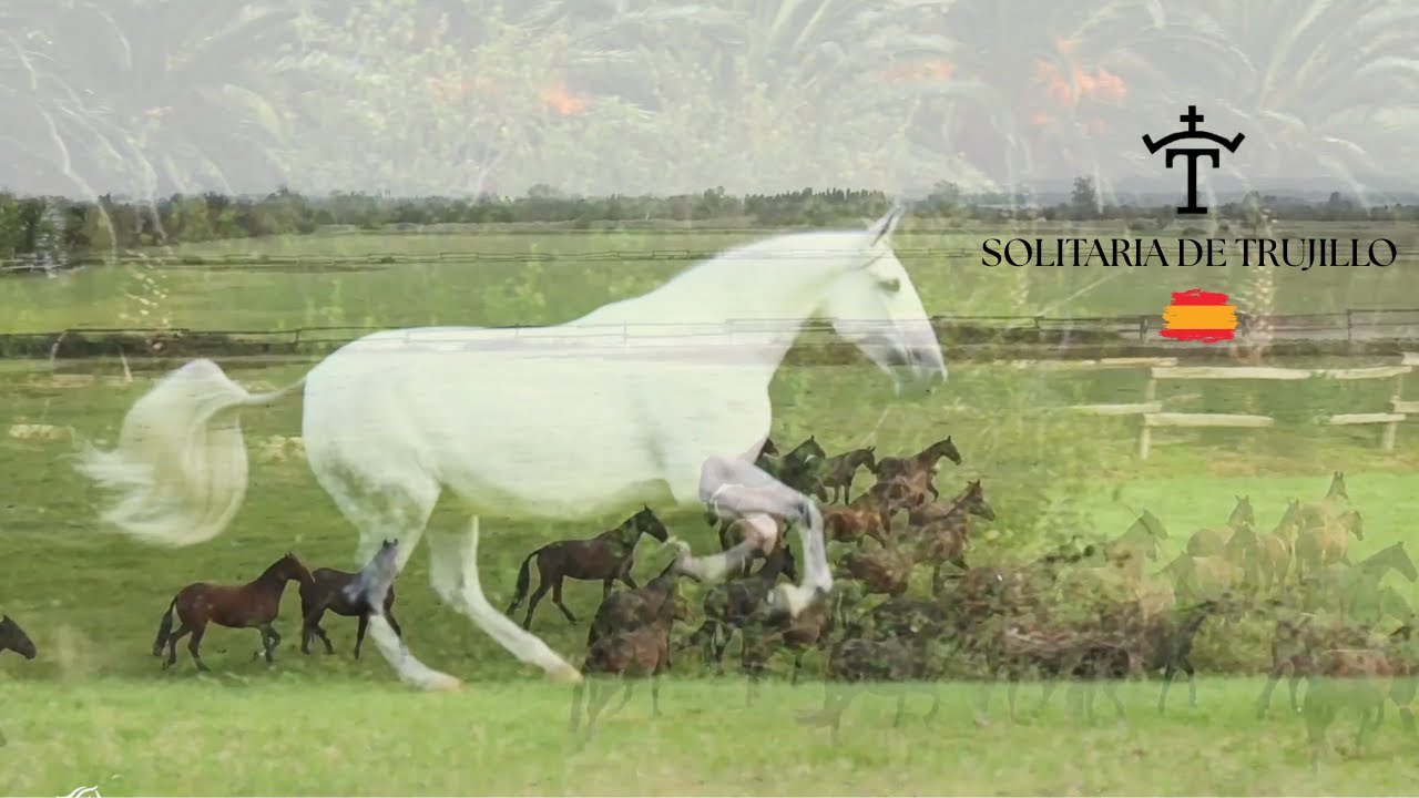 YEGUADA TRUJILLO: SOLITARIA XXXIII. CAMPEONA DEL MUNDO