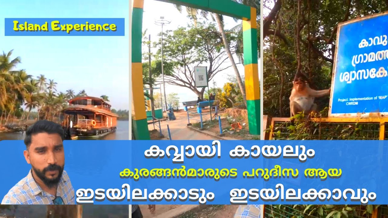 KAVVAYI || EDAYILAKKAD || കവ്വായി കായലും കുരങ്ങൻമാരുടെ പറുദീസ ആയ ഇടയിലക്കാടും  ഇടയിലക്കാവും