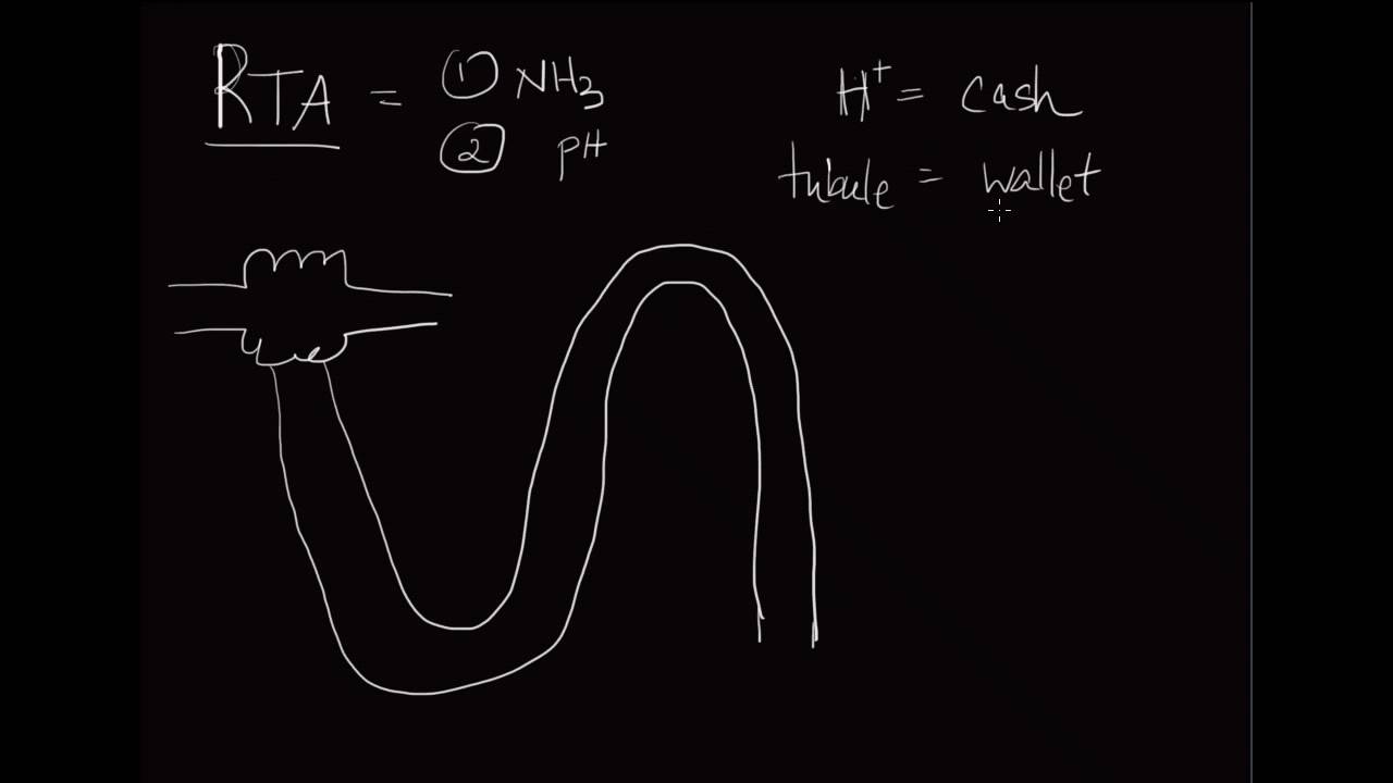 10-minute Rounds:  Renal Tubular Acidoses (The purpose of Ammonia)