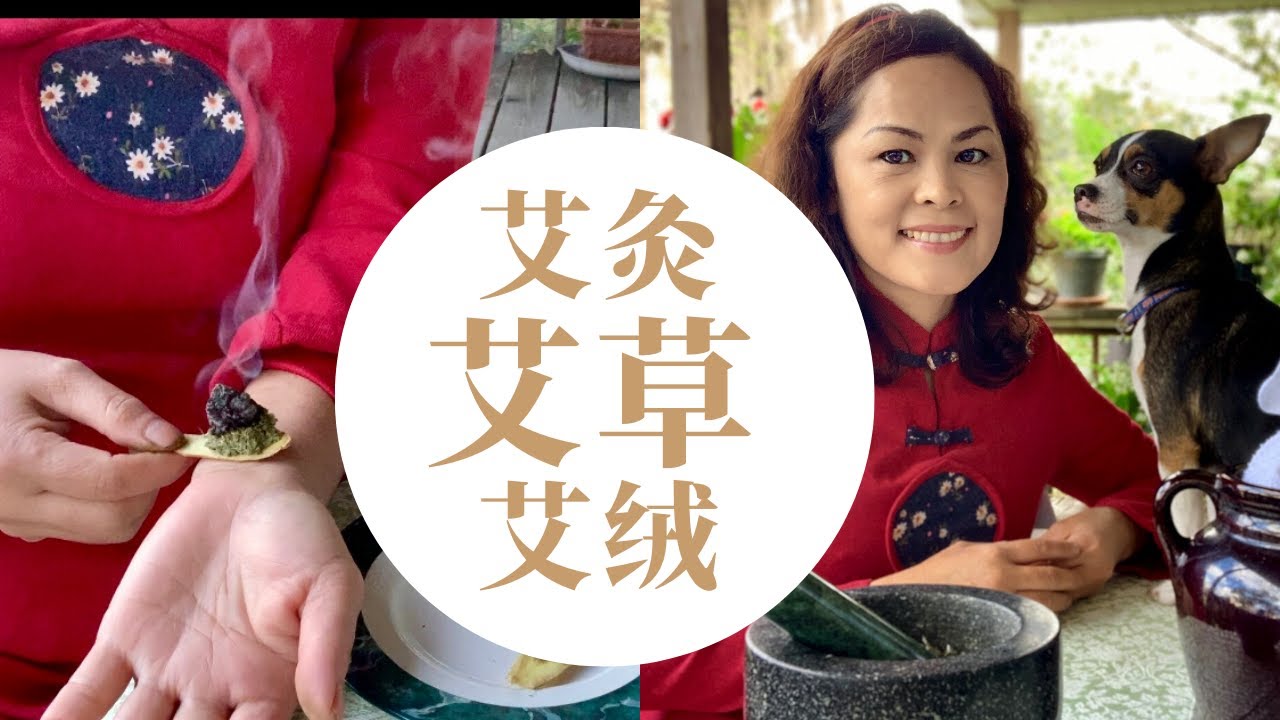 艾草/艾绒/艾灸/艾草煎鸡蛋，艾草全身是宝，入药， 入菜，两种方法种植，种子和根系【Wormwood  Leaves/Artemisia Argyi 】