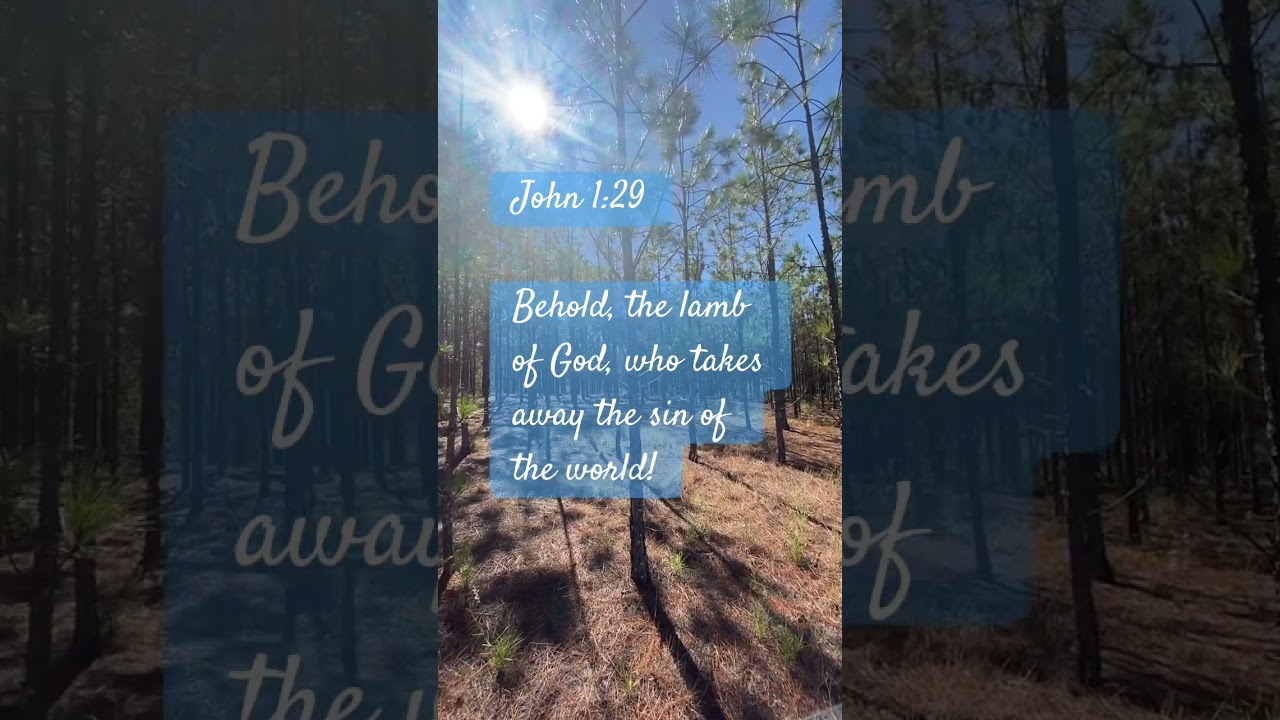Best Christmas Bible Verses to Share With Loved Ones This Holiday Season