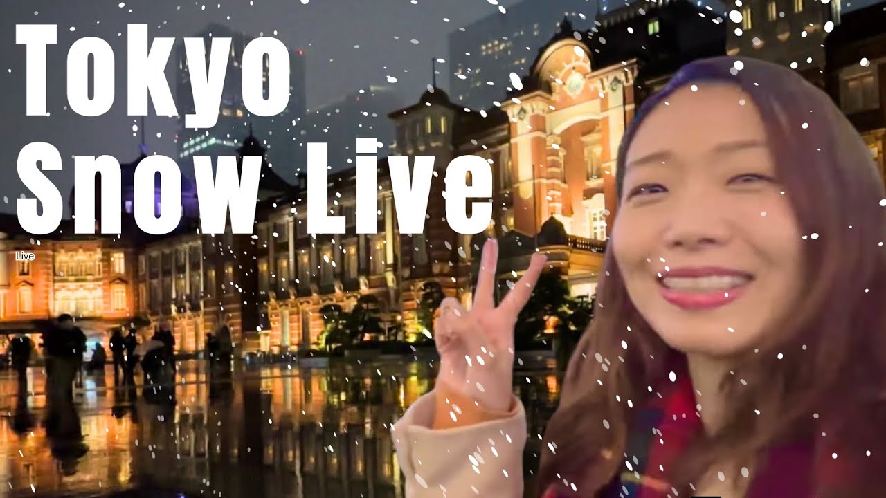Snowing in Tokyo! ❄️| New Year Live Walk 2026☃️#snow #tokyo 