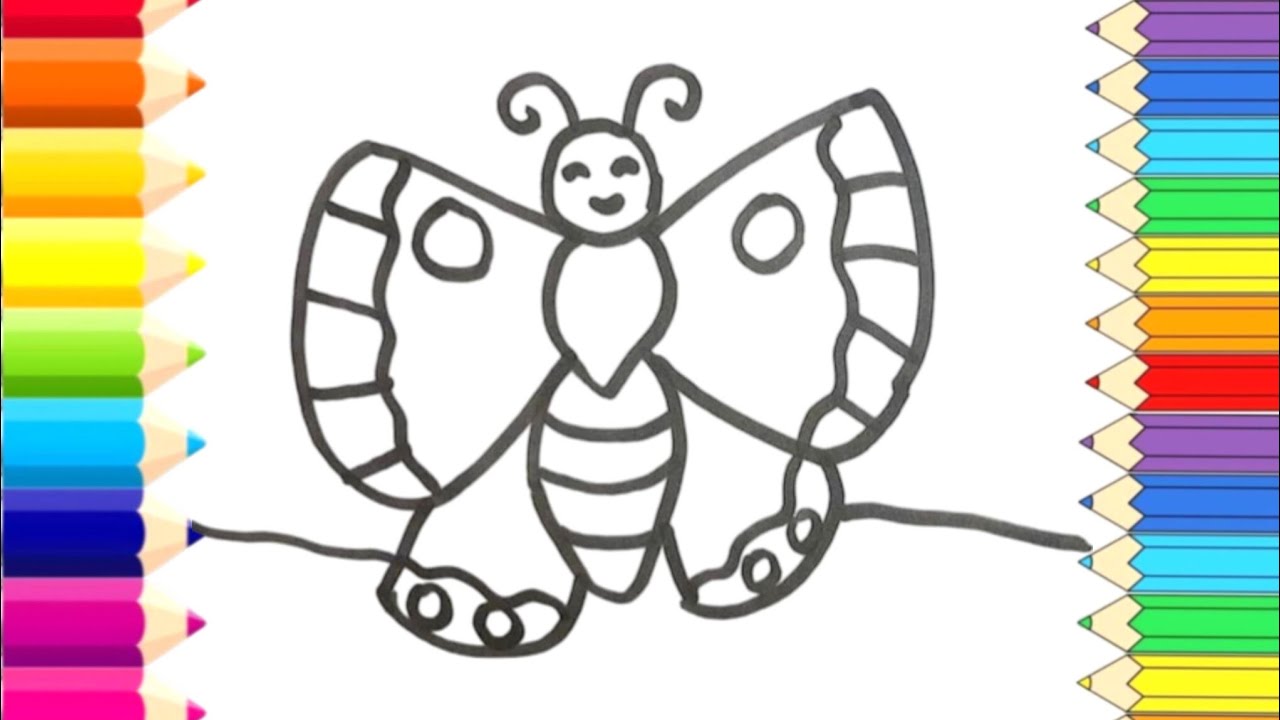 How to Draw a Cute Butterfly Step by Step 