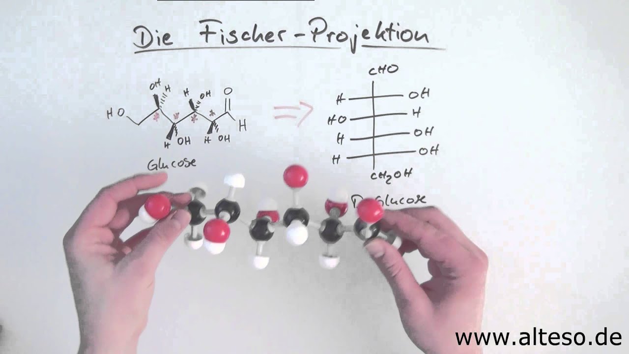 Die Fischer-Projektion