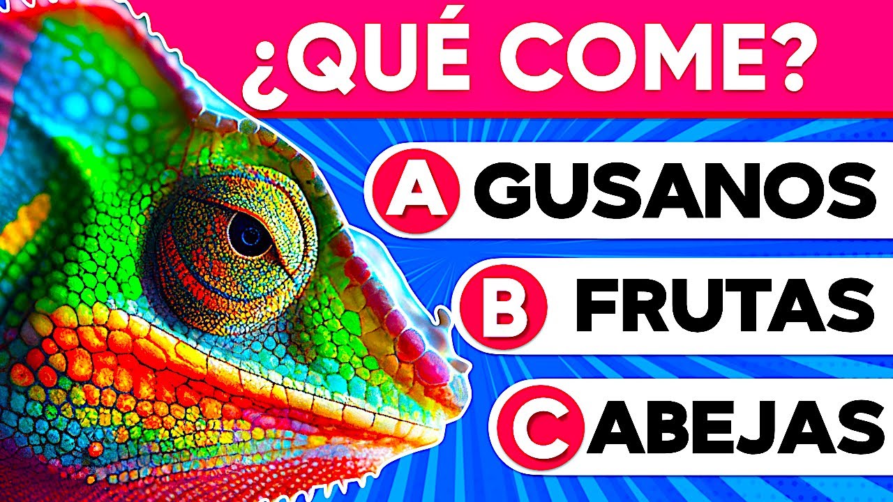30 PREGUNTAS DE ANIMALES 🐳🦋 ANIMAL QUIZ