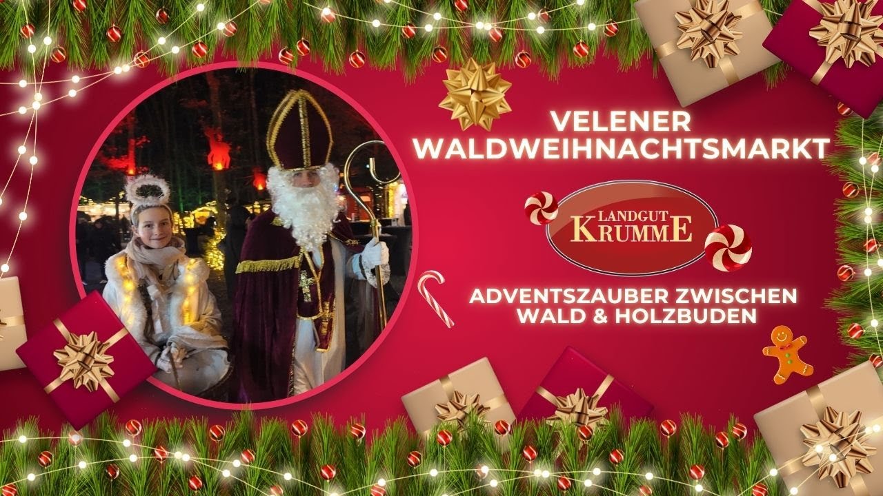 Wir zeigen euch den Waldweihnachtsmarkt Velen – und seine 1 Million LED-Lichter