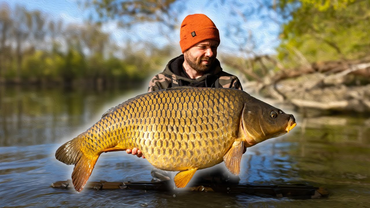 AUSNAHME Fisch aus dem Altrhein 😱 | Karpfenangeln mit Hambsch