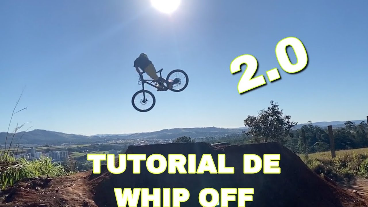 Tutorial de Whip 2.0