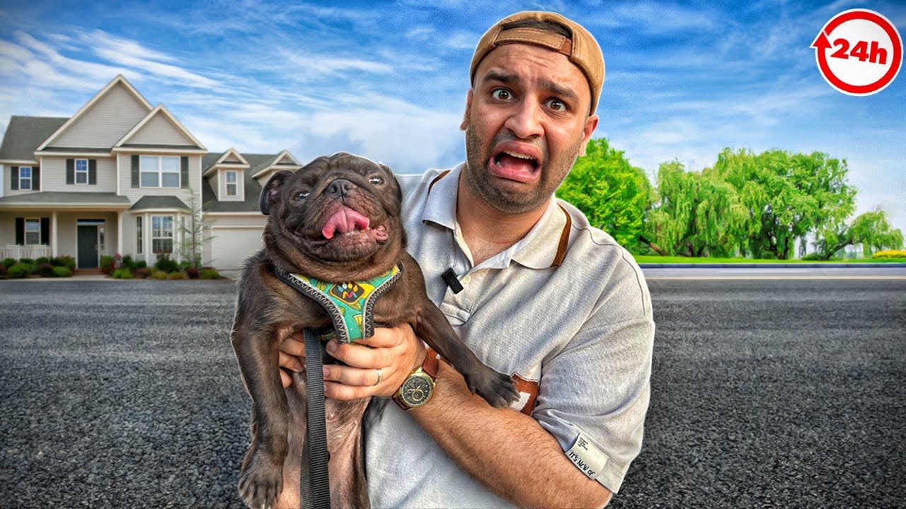 24 ساعت خدمتکار سگ شدیم🐕‍🦺