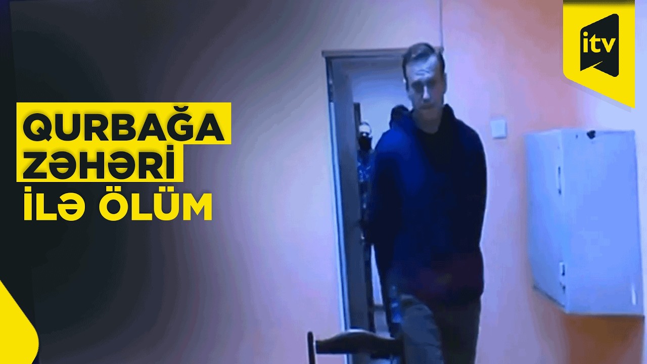 Navalnının ölümünə səbəb olduğu iddia edilən ağac qurbağası toksini haqqında nə məlumdur?