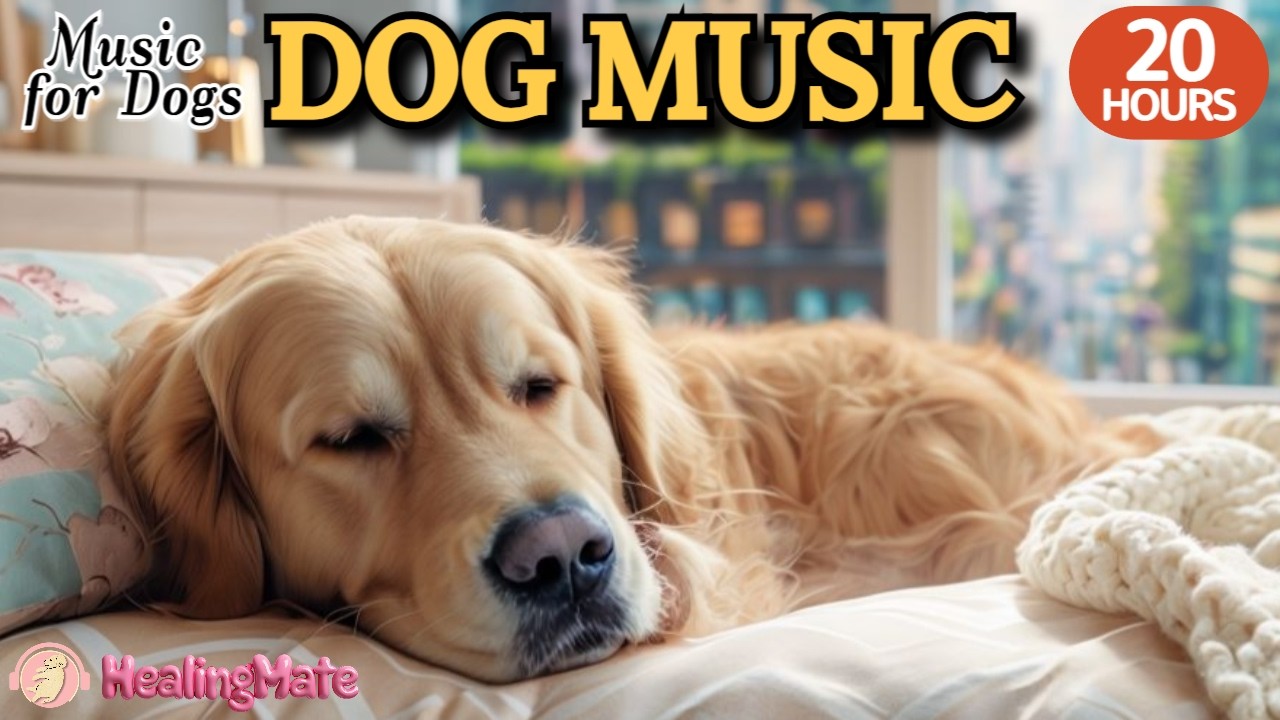 강아지가 좋아하는 음악💖🐶강아지 수면 음악 22시간🐶🎵강아지 분리불안을 해소 음악 🎵💖혼자있는 강아지 스트레스해소 음악🎵💖외출할때 출근할때 꼭 틀어주세요 by 힐링메이트