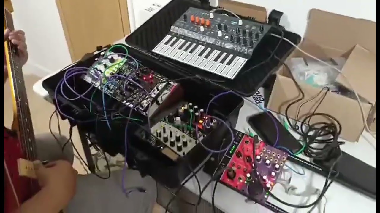 Behringer PP1 (Tested on Microfreak and Plaits)