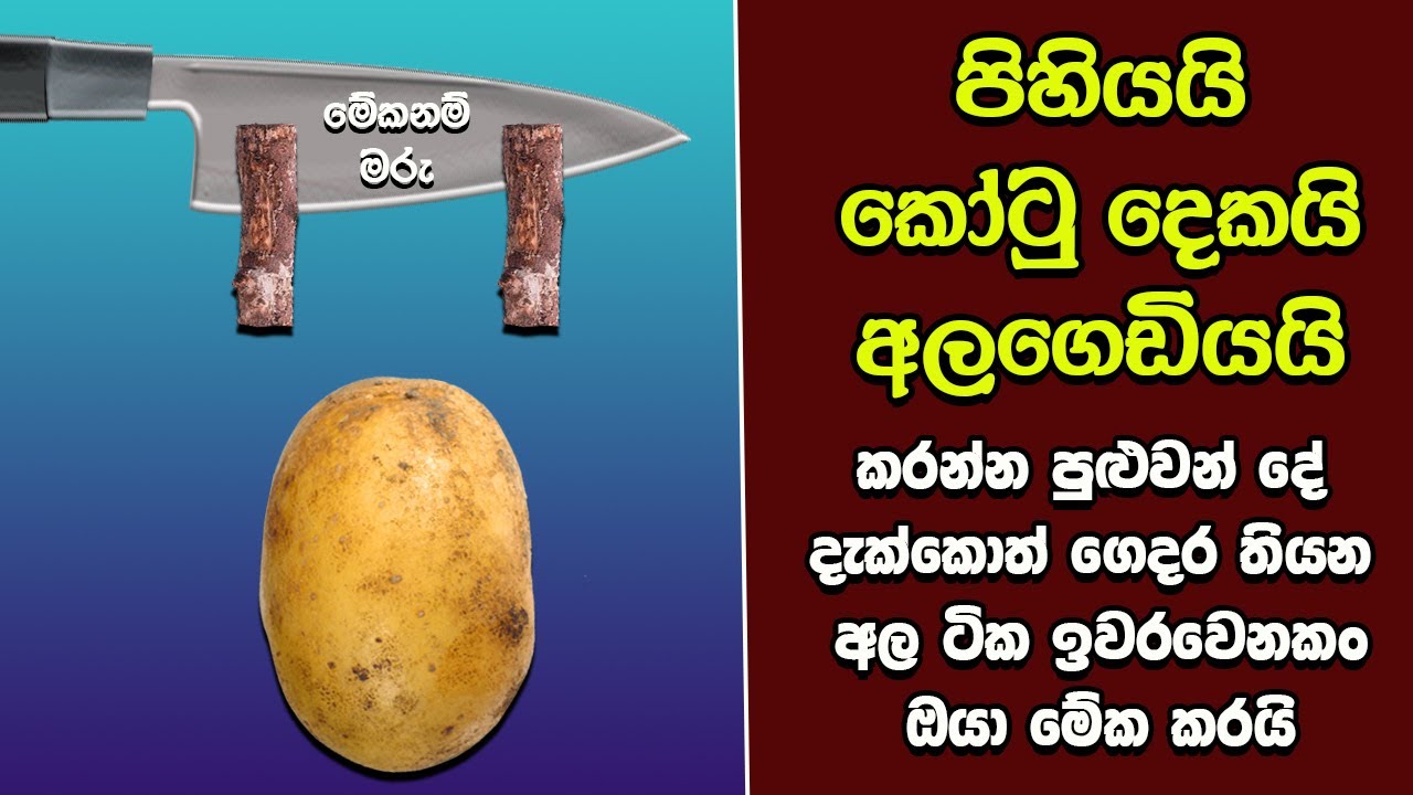 ඔබ මේවා දකින්නේ ජිවිතේ පළමු වතාවට EP:501