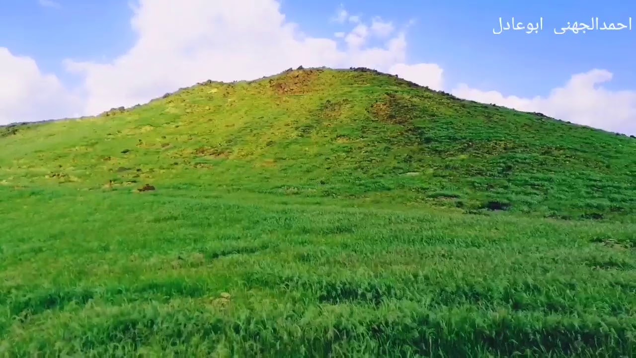 ربيع ينبع  المرارة والعقلة علو خمال الاثنين 1440/4/10