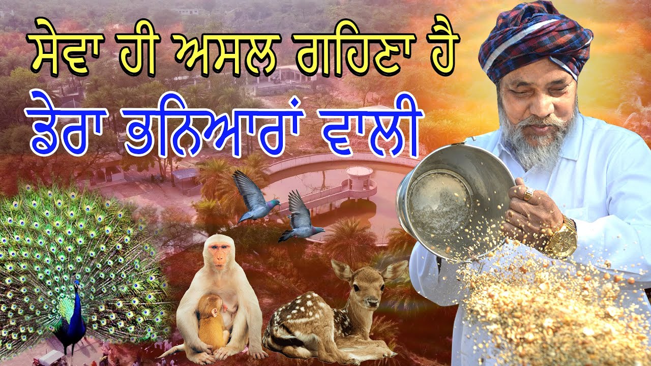 ਸੇਵਾ ਹੀ ਅਸਲ ਗਹਿਣਾ ਹੈ| ਡੇਰਾ ਭਨਿਆਰਾਂ ਵਾਲੀ| Baba Pyara Singh Ji Bhaniara Wala|