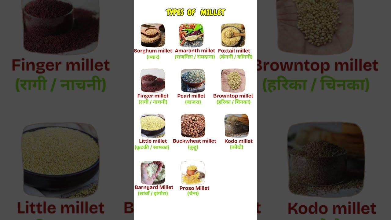 Types Of MILLETS in English and Hindi #millet  #momentmagic