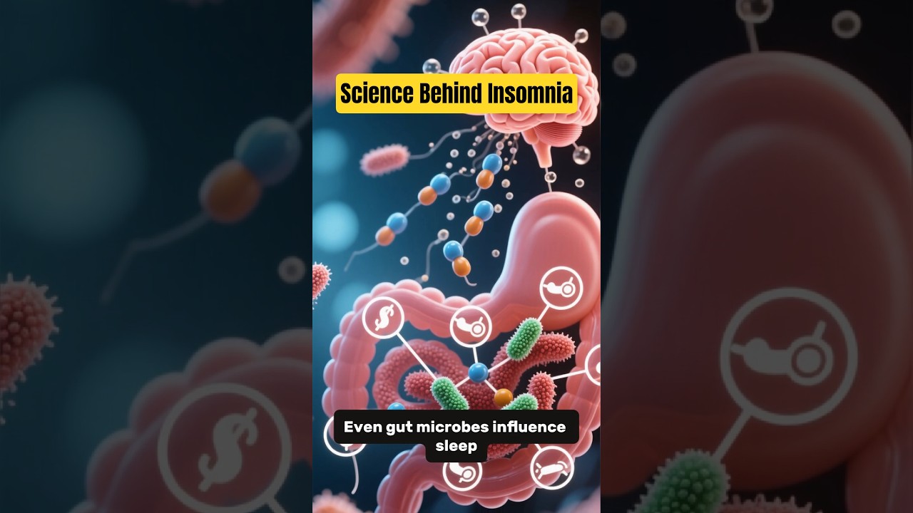 The Science Behind Insomnia 💤 | OnlyScience  #scienceexplained #facts #healthfacts #science