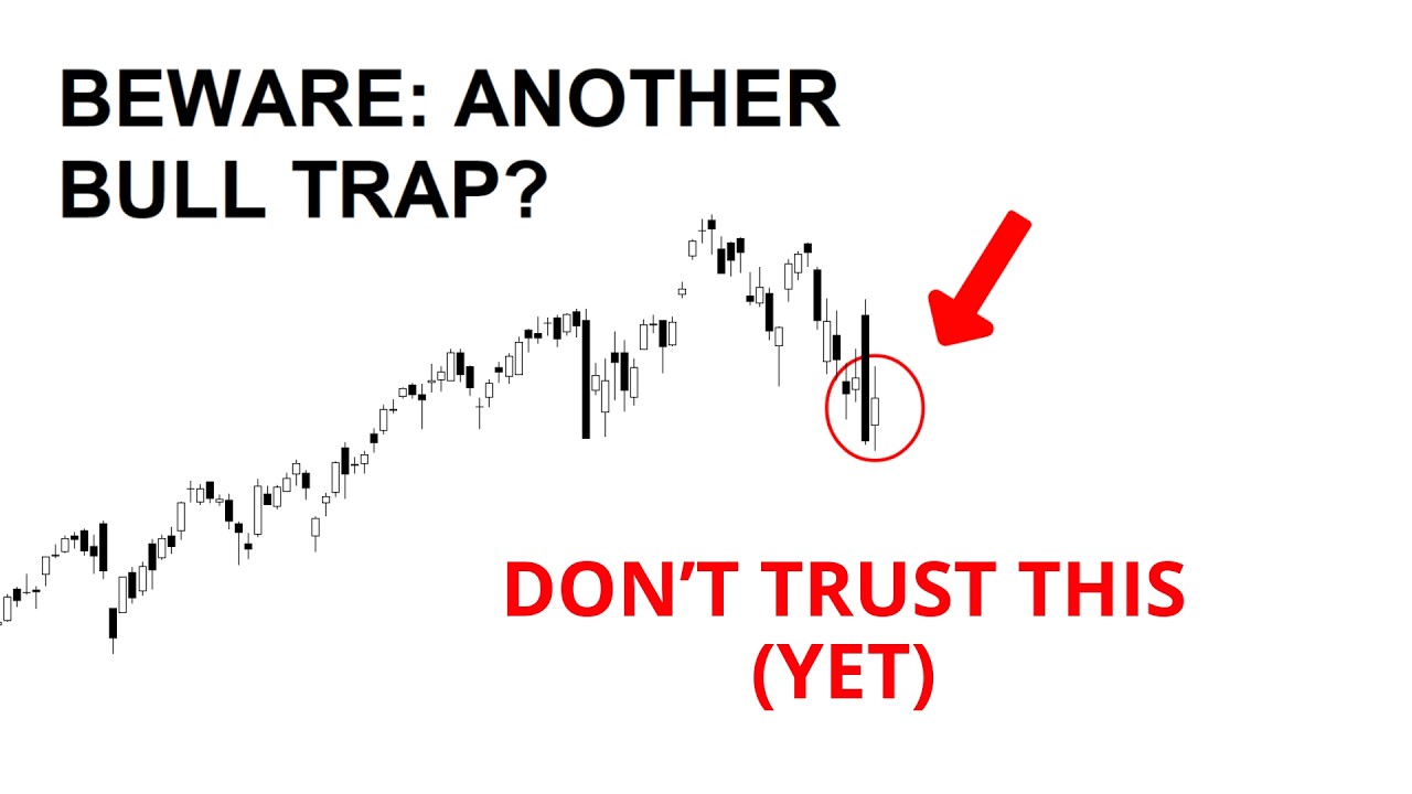 Technical Analysis of Stocks: SPY / QQQ / NVDA / TSLA / AMD / PLTR / META / ORCL