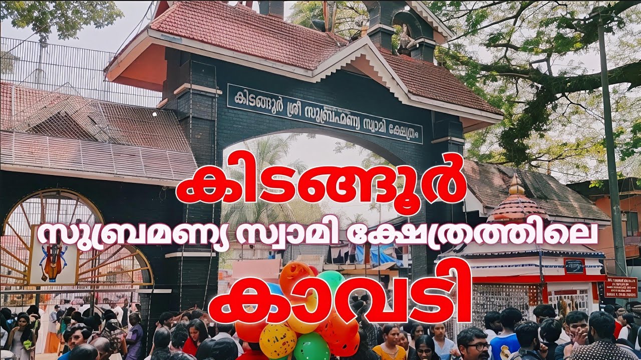 Kindangoor subramaniya swami temple kaavadi 2026 #kidangoor #temple #ulsavam #malayalammedia #viral 