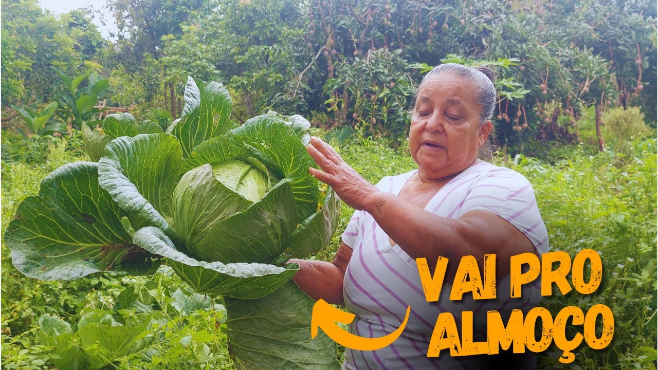 Tava fazendo o almoço e precisei vir na horta pegar só umas coisinhas 😂 Vem comigo pra você ver.