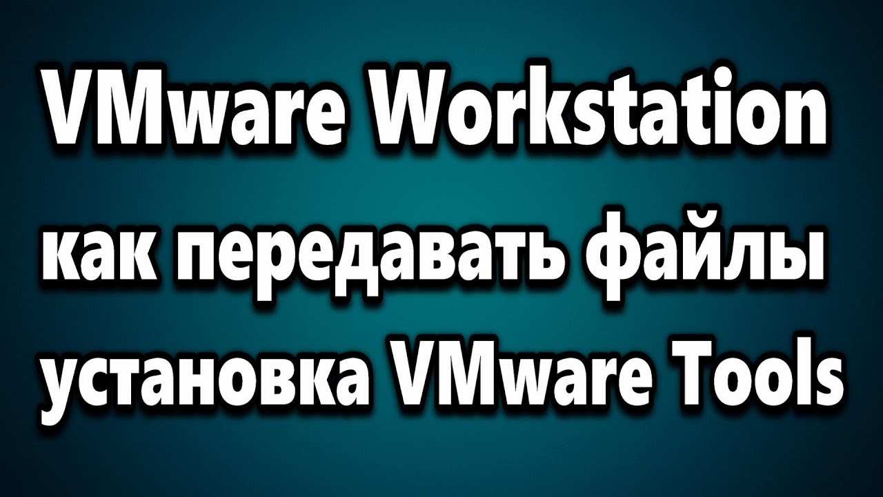 VMware Workstation PRO как передавать файлы между компьютером и виртуальной машиной