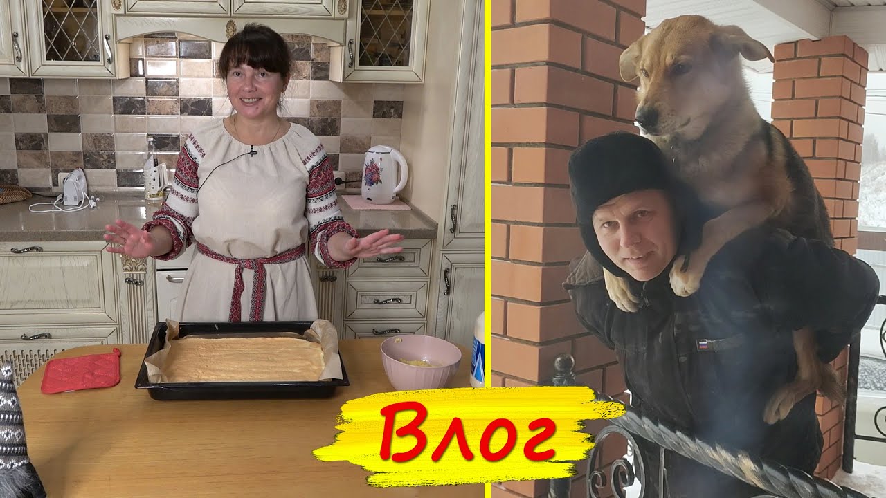 Битый НЕБИТОГО везет! Бисквитный рулет и БОЛТАЛКА о цветах. Что надо уже срочно сеять?