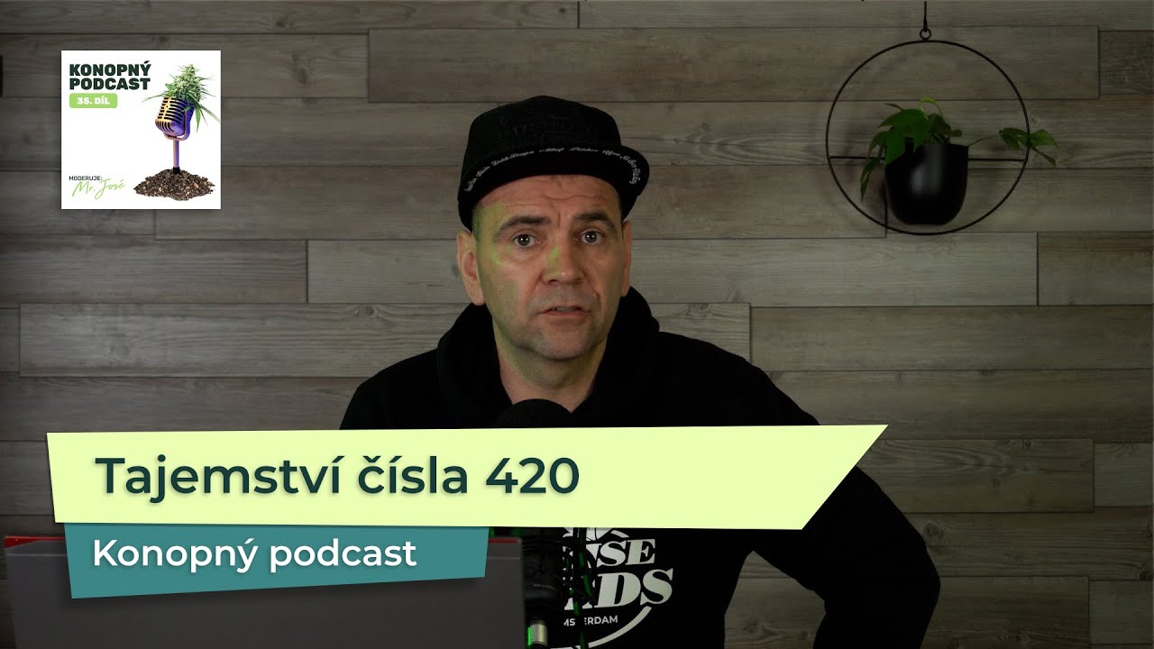Proč je č&iacute;slo 420 spojov&aacute;no s konop&iacute;m