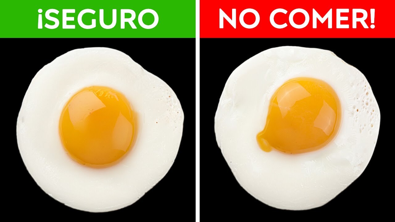 100 hechos asombrosos sobre todo y cualquier cosa