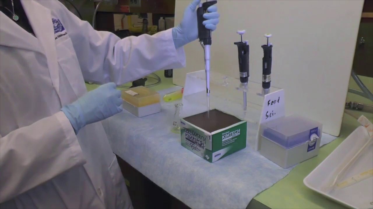 Pipetting: Pipetman and Forward/Reverse Pipetting