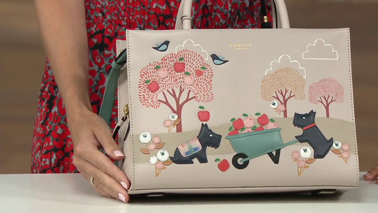 RADLEY London To The Core Medium Leather Satchel on QVC