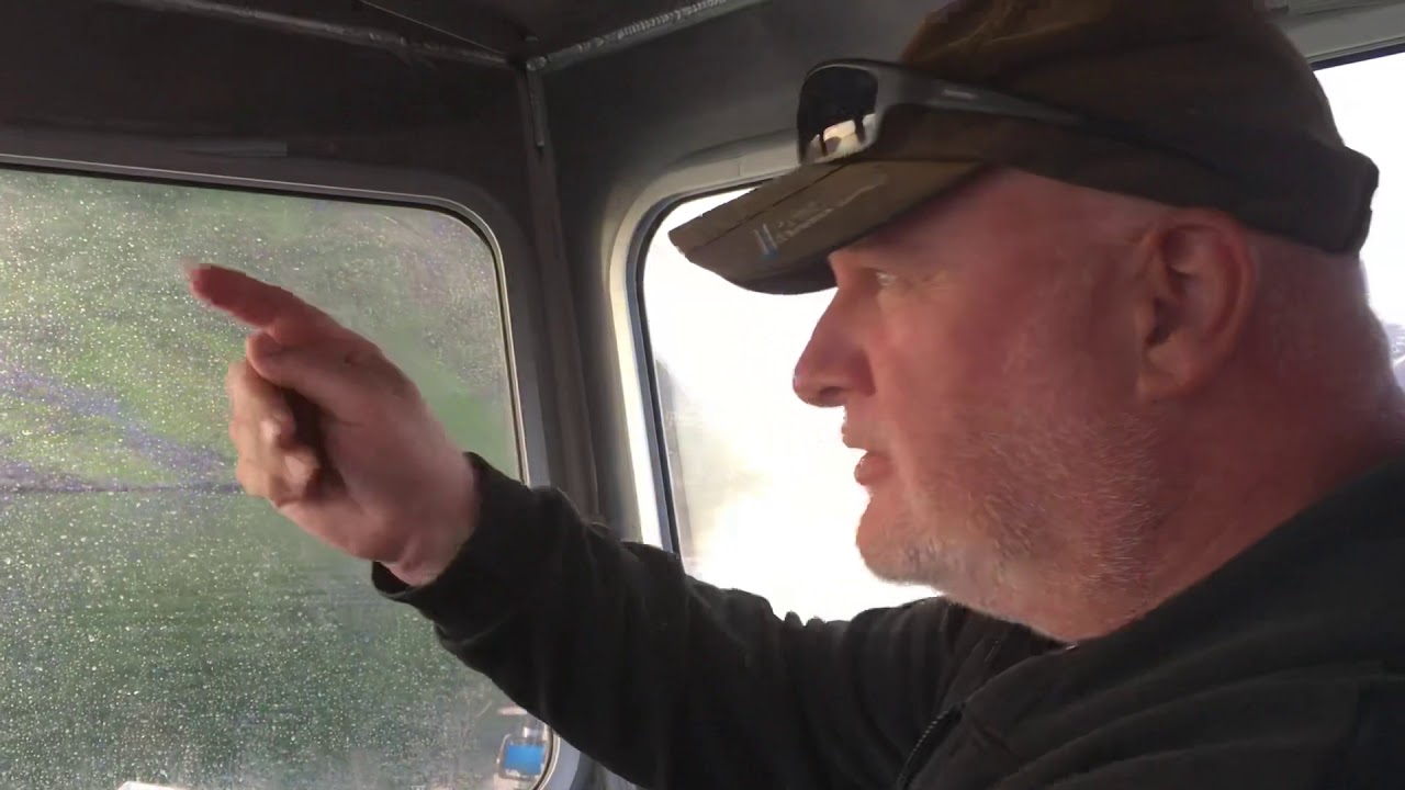Sandland Brygge Wildeboat 650 with Suzuki 150hp full throttle across the fjord
