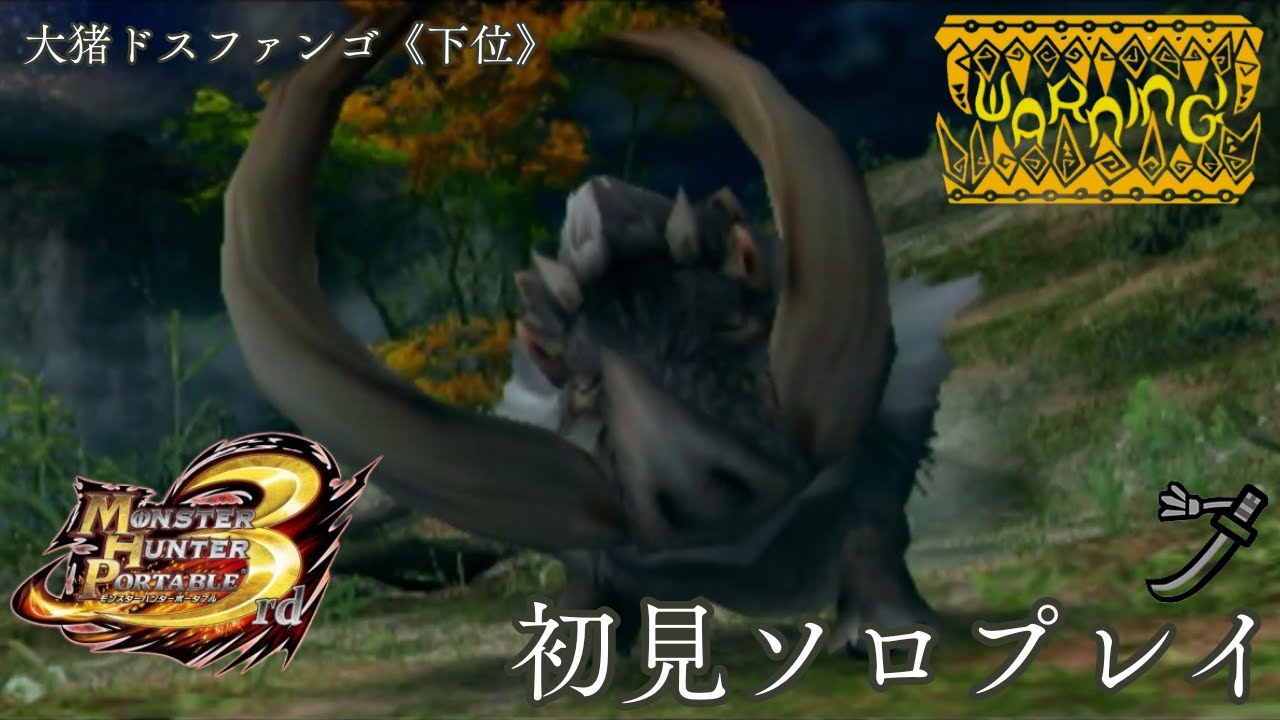 「大猪」ドスファンゴ《下位》[MH3rd]Monster Hunter 3rd