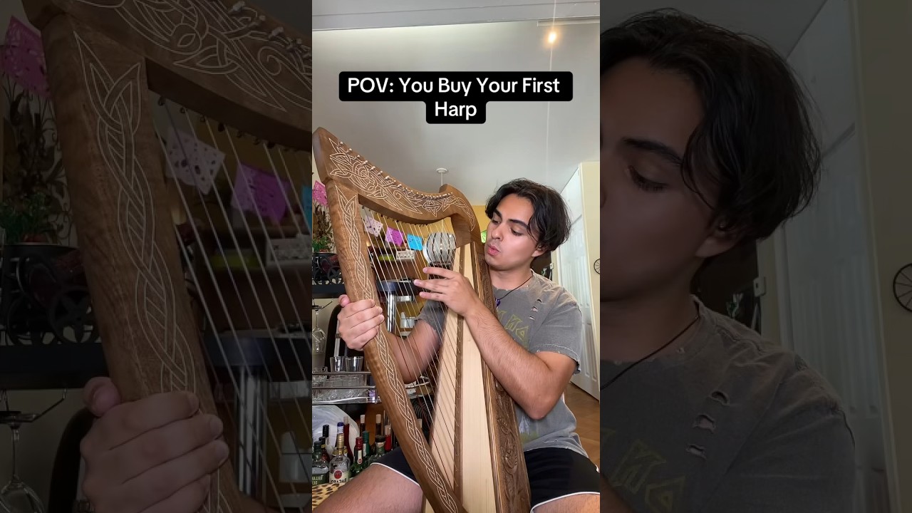 POV: Вы покупаете свою первую арфу 🥰