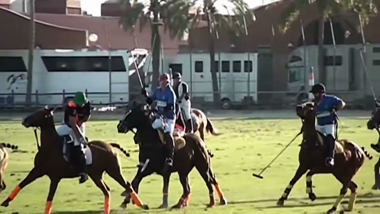 DEPORTES ECUESTRES HISTORIA DEL DEPORTE DEL POLO #h&iacute;pica